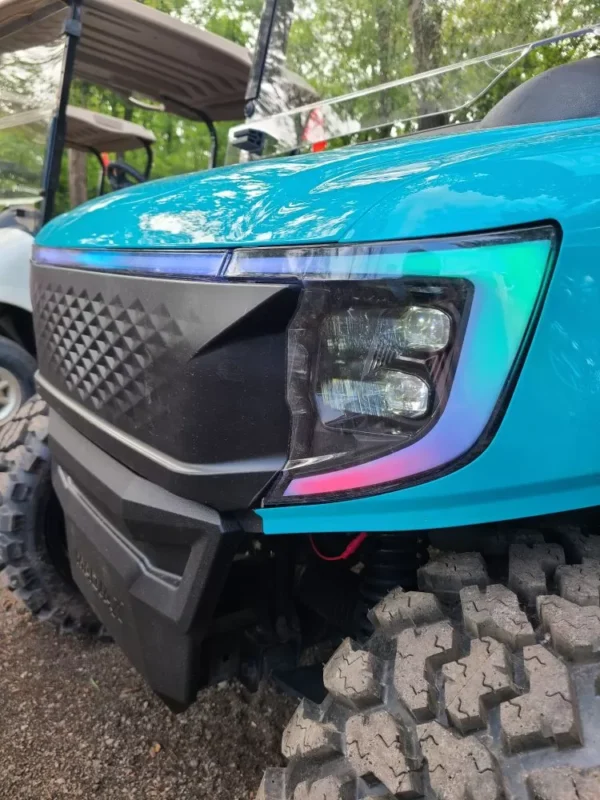 2010 E-Z-GO RXV - Image 5