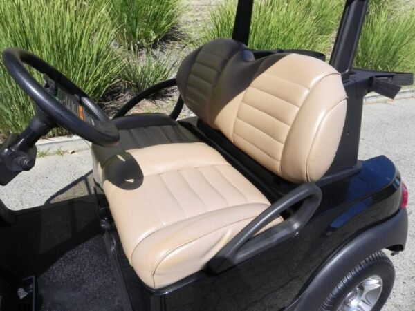 2019 Club Car Tempo - Image 2