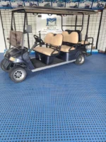 2014 Star EV Classic 48v - Image 3