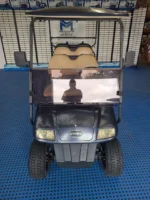 2014 Star EV Classic 48v - Image 2