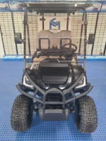 2022 Star EV Sirius - Image 8