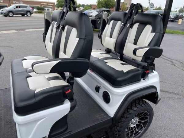 2024 Evolution D5 Maverick - Image 2