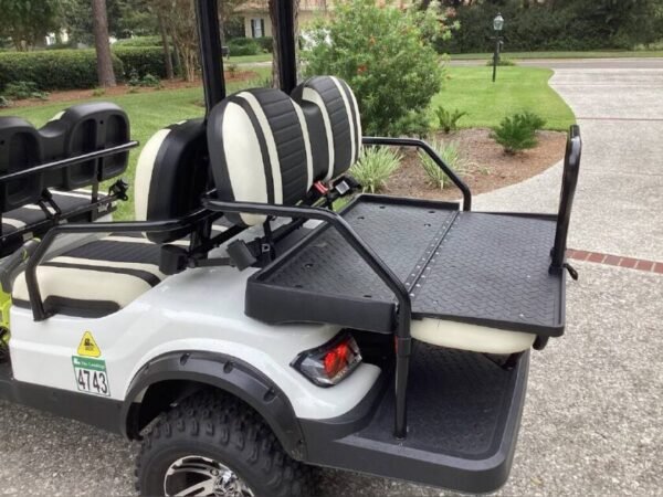 2021 Icon I60 L - Image 4