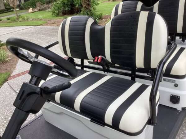 2021 Icon I60 L - Image 11