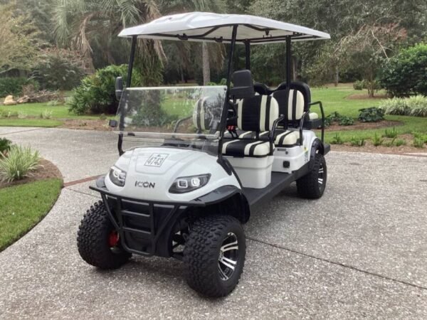 2021 Icon I60 L - Image 10