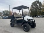 2023 Cushman® Hauler 800x Elite - Image 2