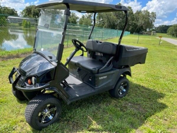 2019 Cushman Hauler 800 Gas - Image 5