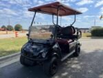 2008 Club Car® DS