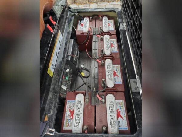 2022 Advanced Ev AEV 2+ - Image 6