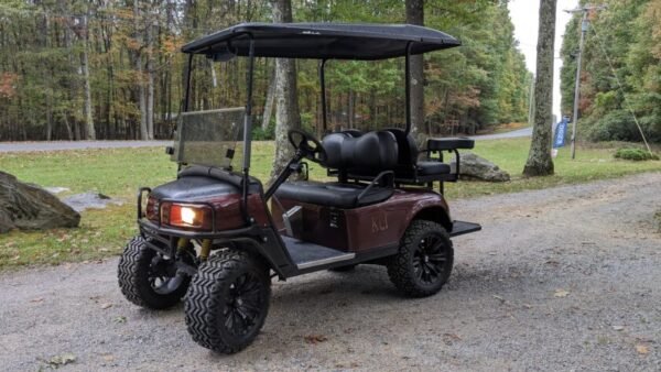 2009 E-Z-GO - Image 3