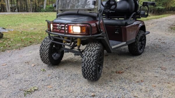 2009 E-Z-GO - Image 5