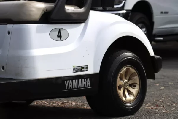 2020 Yamaha Drive2 - Image 4