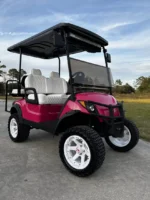 2019 Yamaha Drive2 - Image 5