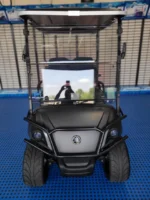 2022 Yamaha Drive - Image 6