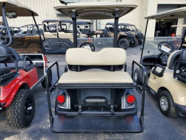 2018 Yamaha The Drive2 Fleet (Gas EFI) - Image 2